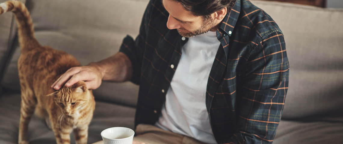 Dokas_Start_Slider_2