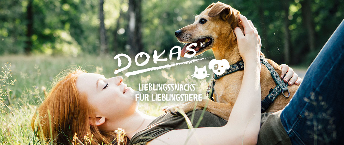 dokas_start1_DE