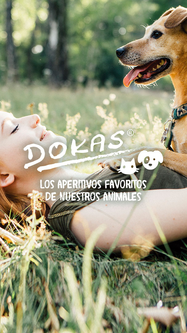 dokas__0004_Slider1_DE